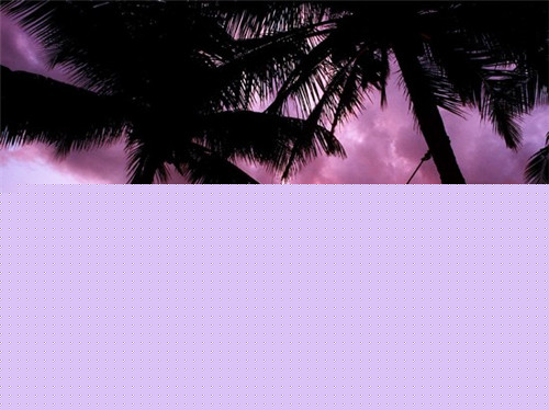 一个烧麦的卡路里是多少