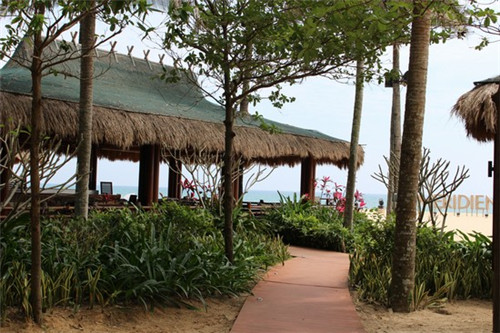 海南小区生纸前景如何（海南小区楼盘）