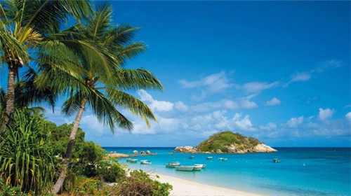 普兰店房价分析师/房产小宋