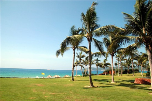 龙华区房产中介小湛