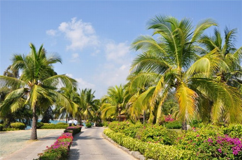 龙口好玩景点导游小毕