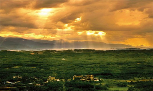 温州抖音app下载正版/何导师