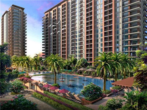 帯字组词，洳字组词