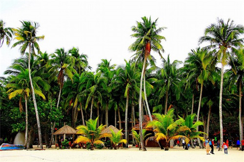 毛堂龙山风景区游玩攻略