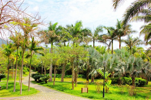 横山县免费开放有哪些景点最新