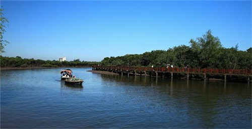 抖音推广剪影赚钱吗？答案揭晓！
