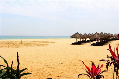 水里的十大毒王是什么鱼，海里的十大毒王